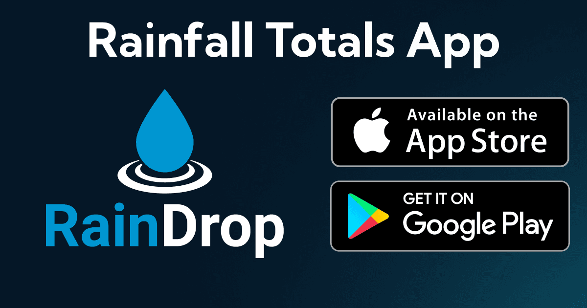 RainDrop Logo and Example